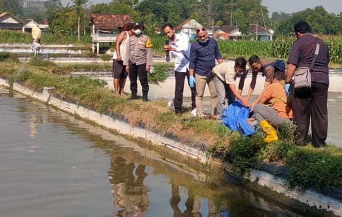Jenazah korban saat dievakuasi dari dalam kolam ikan koi.