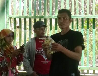 ?Purwadi, petugas pemelihara penyu di Pondok Kerja Unit Penetasan Penyu Semi Alami Ngagelan, menunjukkan penyu sisik yang berusia 1 tahun. Foto:rosihan c anwar/bangsaonline