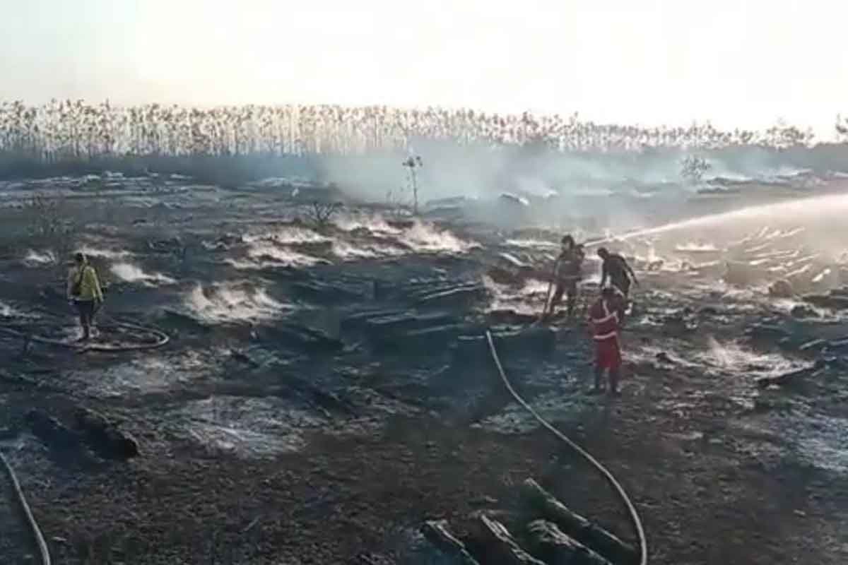 Kebakaran lahan kilang minyak di Desa Sumurgeneng, Tuban.