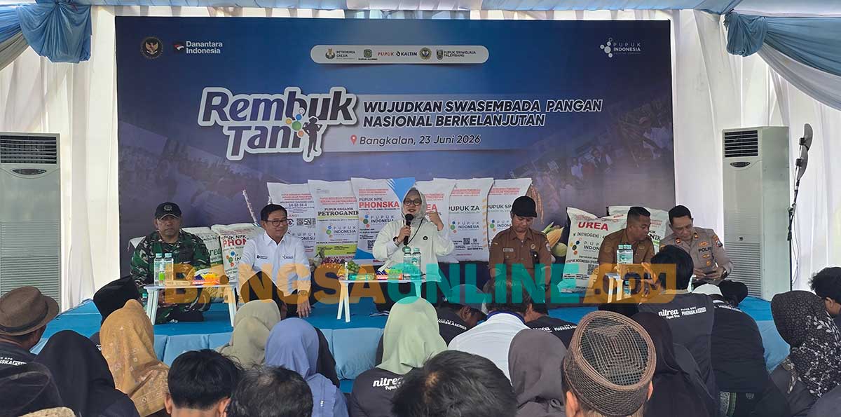 pemerintah-tegaskan-stok-beras-nasional-cukup