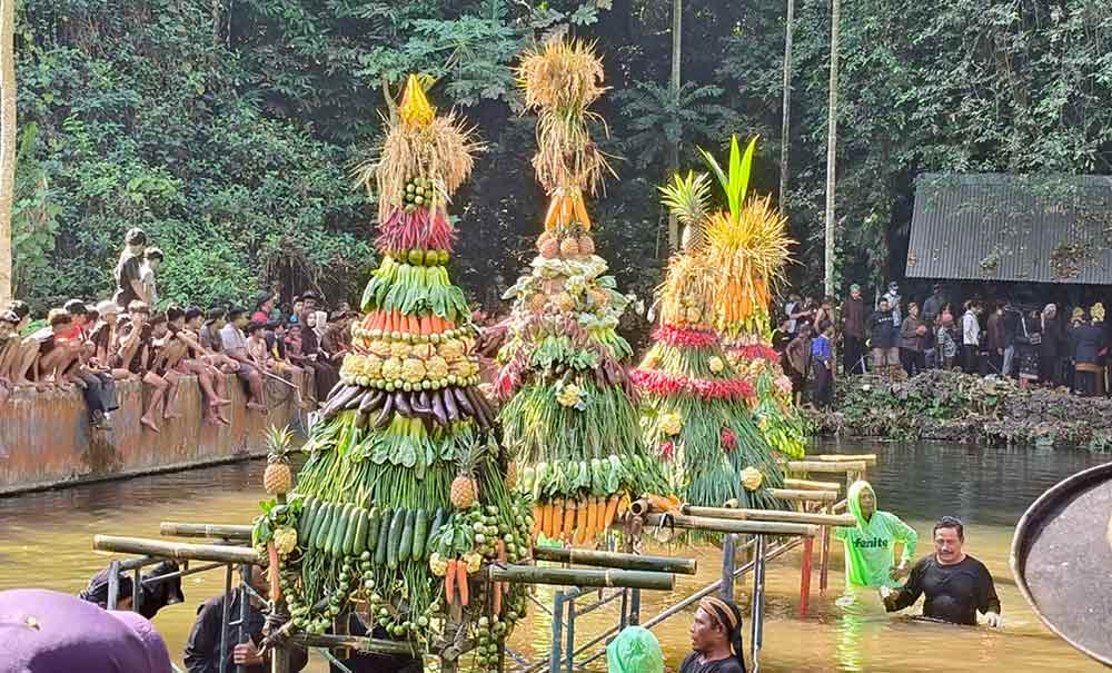 Empat tumpeng gunungan kecil berisi hasil bumi ditata di tengah kolam, untuk selanjutnya diperebutkan warga. Foto: Muji Harjita.