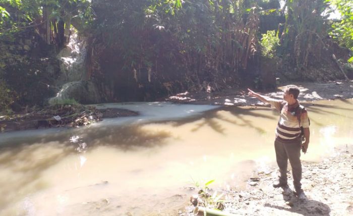 Kondisi sungai Dusun Sumberejo, Desa Pondokrejo, Kecamatan Tempurejo yang diduga tercemar limbah cair hasil pengolahan karet Pabrik PTPN XII Kebun Glantangan.