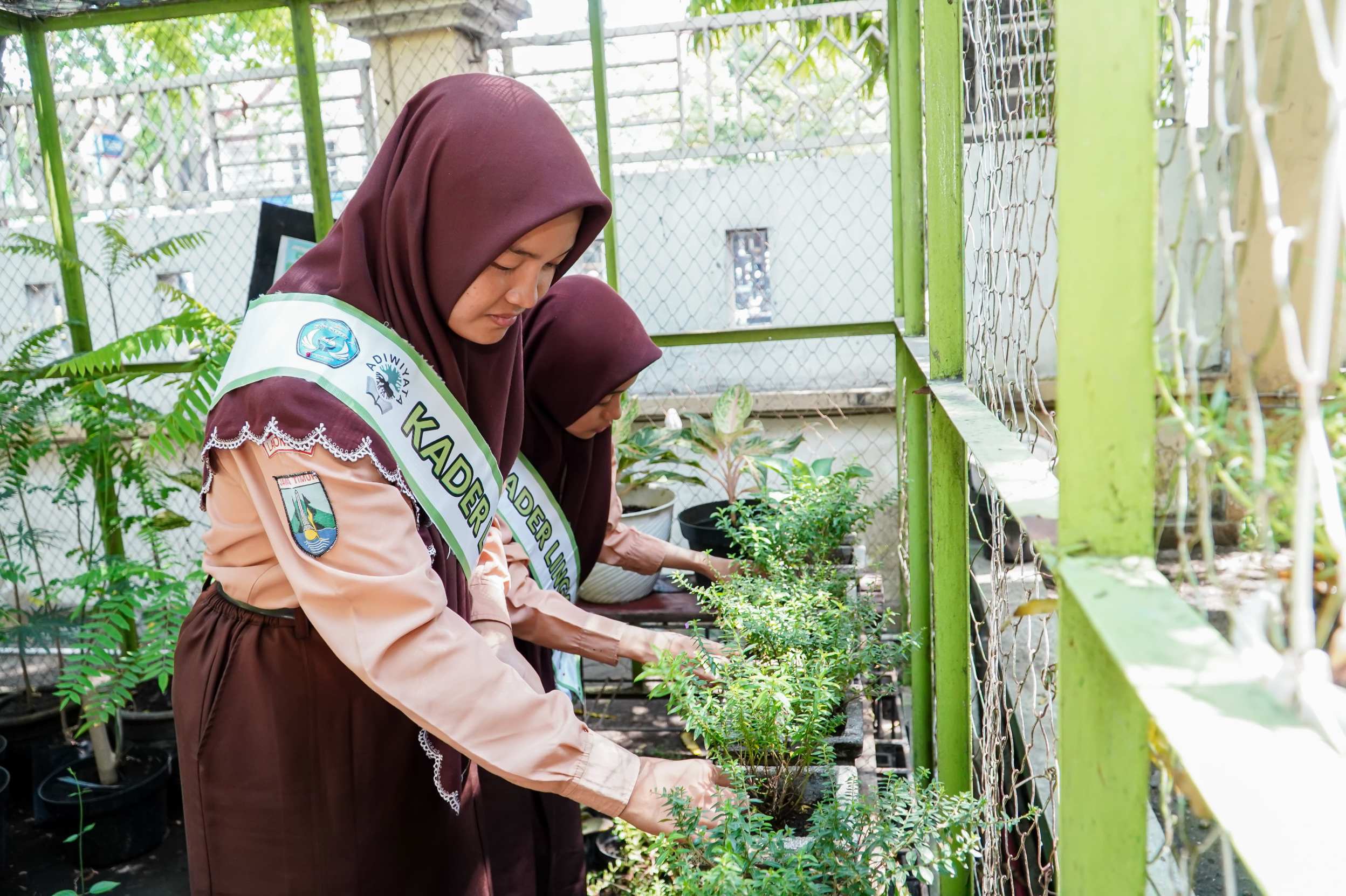 Gerakan Peduli Berbudaya Lingkungan Hidup di Sekolah (PBLHS) yang konsisten dilakukan oleh warga sekolah di Lamongan