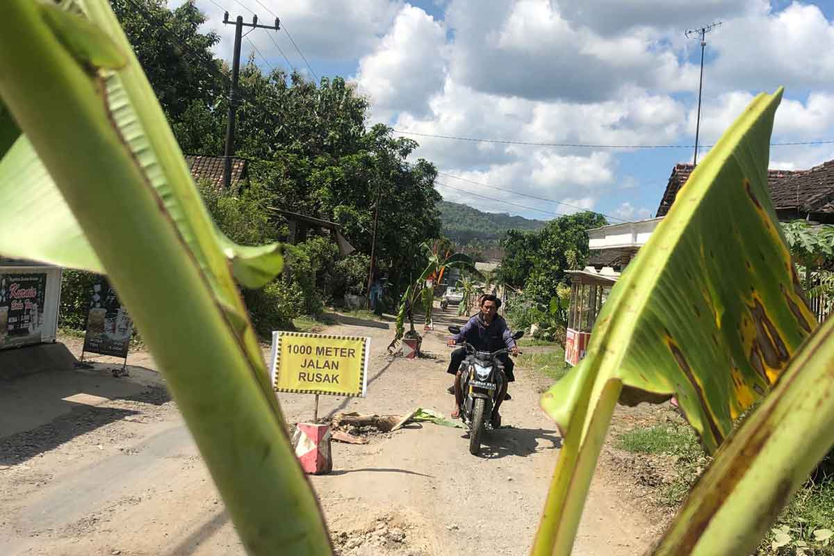 Jalanan di Jalan Raya Desa Sumberagung, Kecamatan Tulungagung, sepanjang 1,5 kilometer ditanami pohon pisang oleh warga setempat, Kamis (9/3/2023).