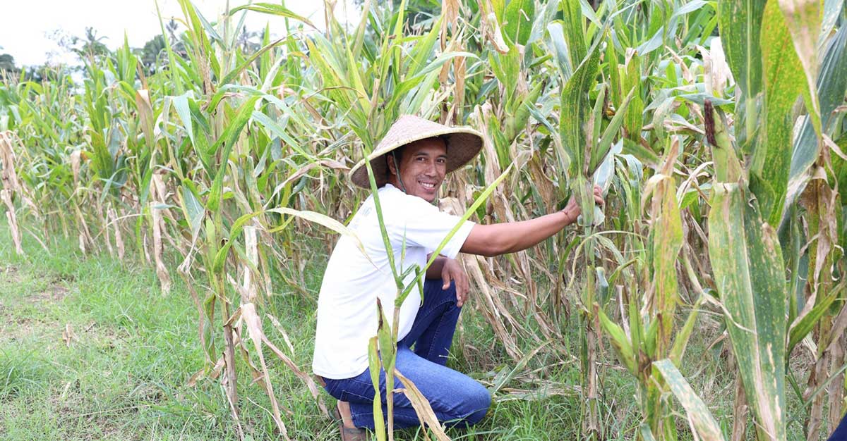 Salah satu petani dari Desa Soso, Kecamatan Gandusari, Kabupaten Blitar.