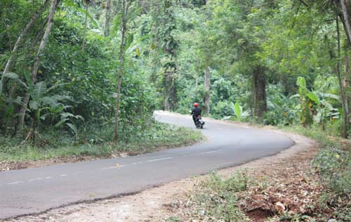 Tikungan tajam yang berada di jalan Krawak, Kecamatan Montong, Tuban. (foto: suwandi/BANGSAONLINE)
