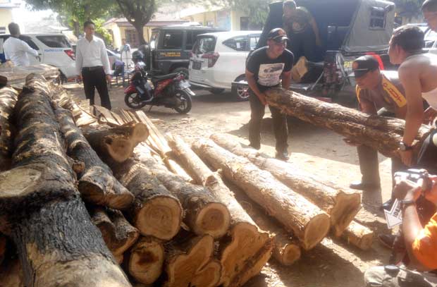 Tampak sejumlah kayu jati saat diamankan ke Mapolres Situbondo. foto: MURSIDI/ BANGSAONLINE