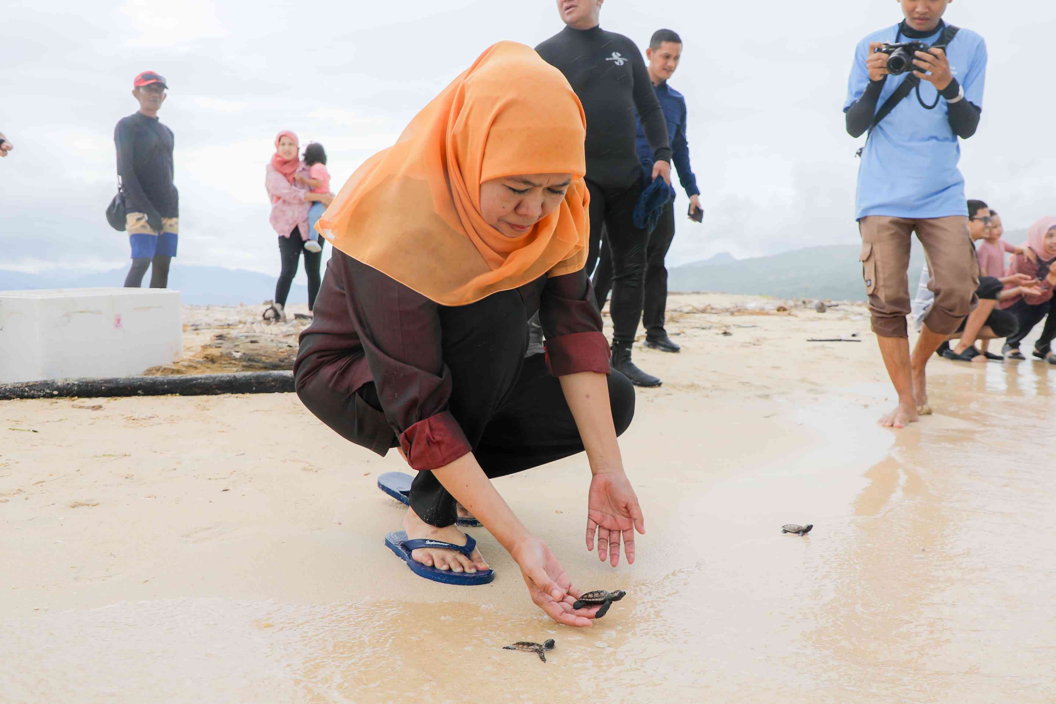 Gubernur Jawa Timur Khofifah Indar Parawansa melepas puluhan tukik (anak penyu) di Pulau Tabuhan, Desa Bangsring, Kecamatan Wongsorejo, Kabupaten Banyuwangi, Kamis (3/4). Foto: bangsaonline