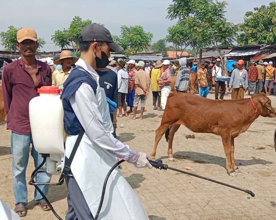 Tim dokter hewan melakukan penyemprotan disinfektan di pasar hewan, Desa Aeng Sareh, kecamatan Pangarengan, Kabupaten Sampang (dok. RRI)