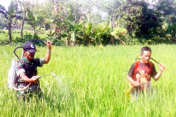 Pelda Soirin bersama petani, serta alat semprot rakitannya. foto: penrem081