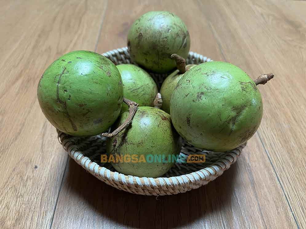 Buah kenitu. Foto: Sulthon/Bangsaonline.