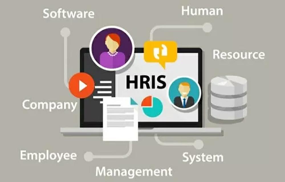 Perbandingan Mekari Talenta vs Workday, Aplikasi HRIS Mana yang Paling Cocok Untuk Perusahaan Anda?
