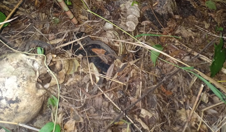 Tulang kerangka manusia wanita yanag ditemukan di hutan lindung.