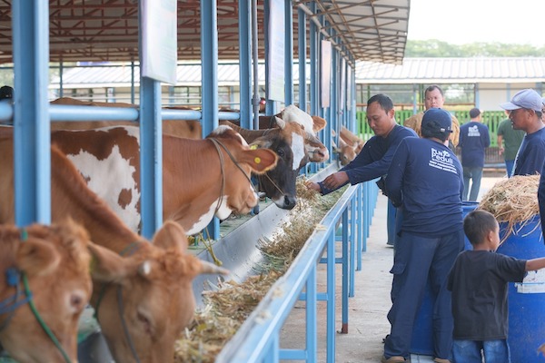 Program CSR Inovatif Si Pandu dan Desi yang digagas oleh PT PLN Nusantara Power UP Tanjung Awar-Awar ditempatkan di kawasan sekitar perusahaan Desa Wadung, Kecamatan Jenu, Kabupaten Tuban.